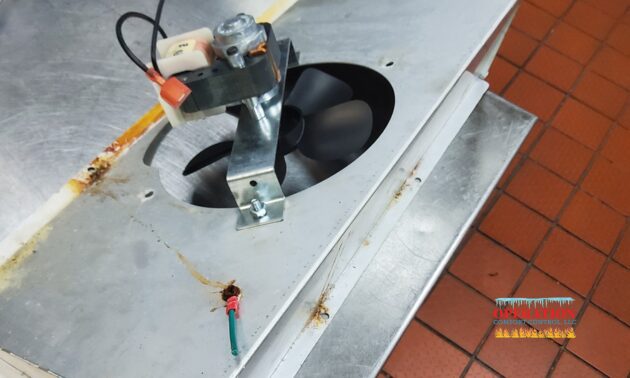 Supporting Staff Productivity in the Kitchen (1)