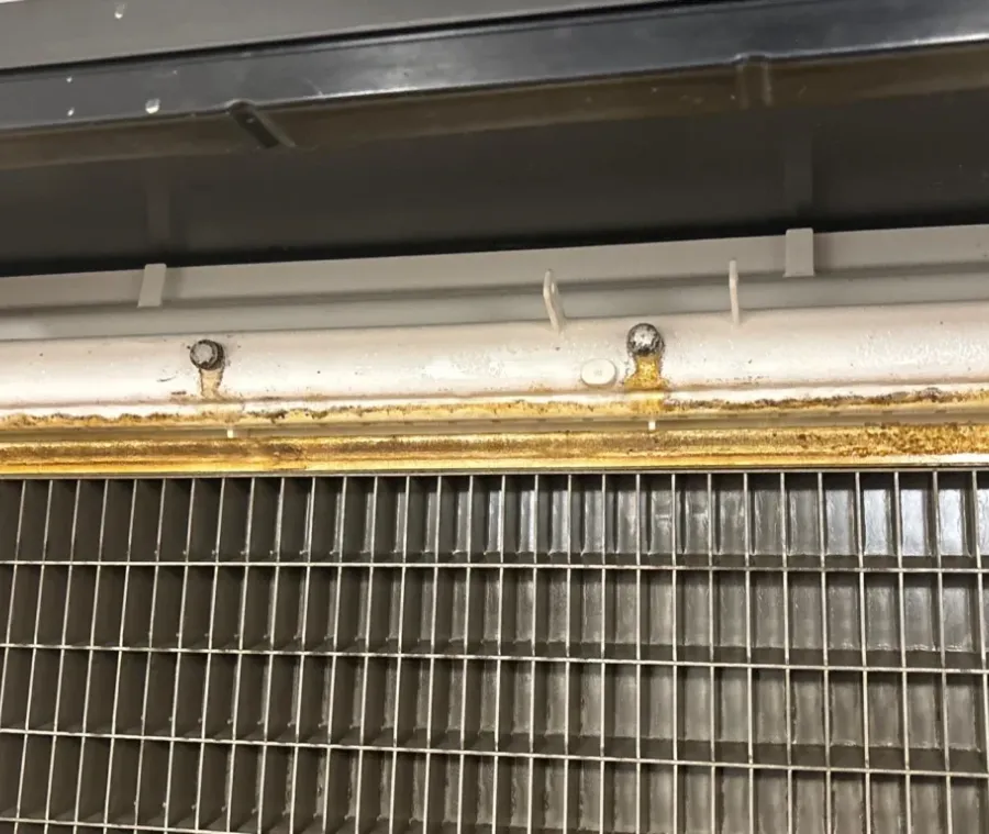 Commercial Kitchen Appliance