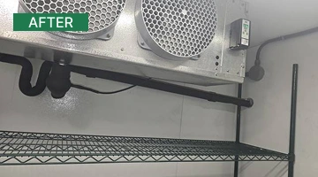 Walk-In Cooler Installed & Commissioned after (1)